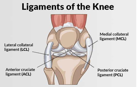 Knee Ligament Injury - Dr. Yash Shah